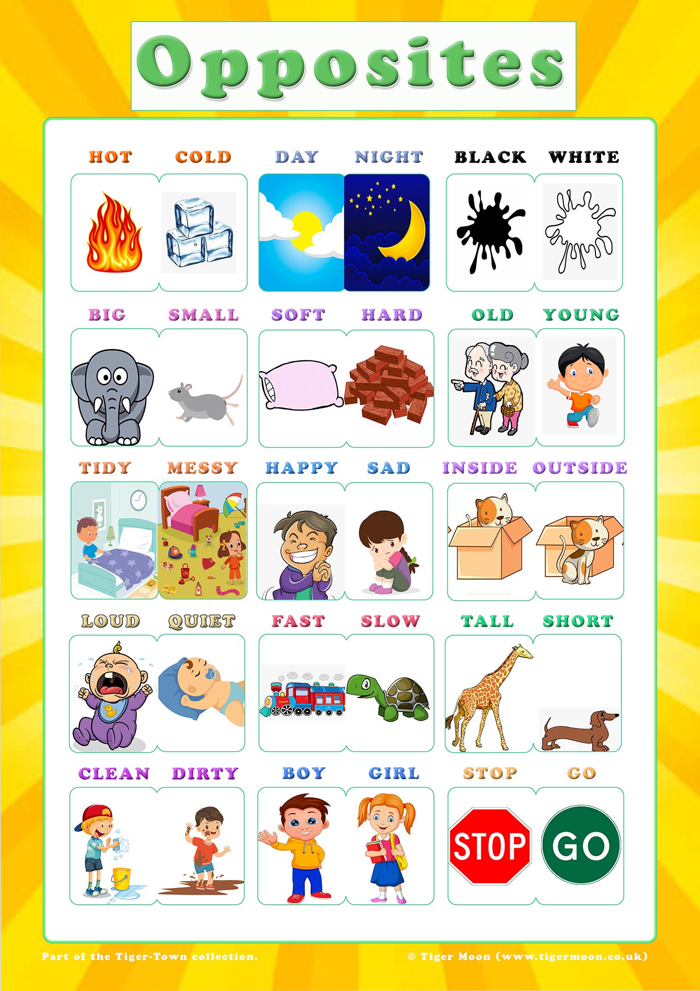 Pack of 6 children's educational posters
