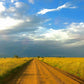 Countryside dirt road school play backdrop (240cm x 120cm)